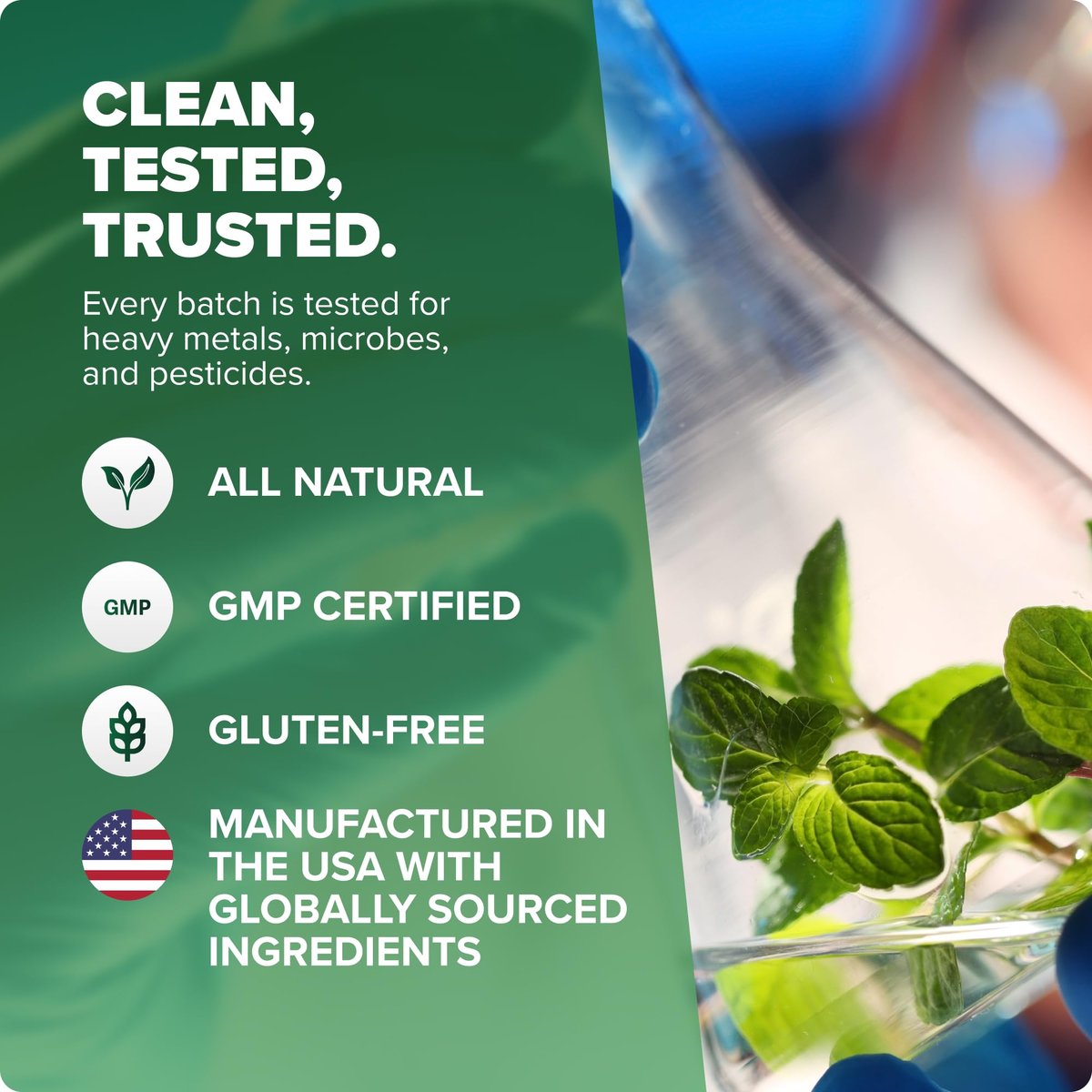 Rosabella Pure Moringa Pulver – Energie, Haut, Immunsystem & Darmgesundheit Superfood, Reich an Antioxidantien, Essentiellen Vitaminen & Aminosäuren, Natürliches grünes Superfood Nahrungsergänzungsmittel (3,7 oz (1er Pack))