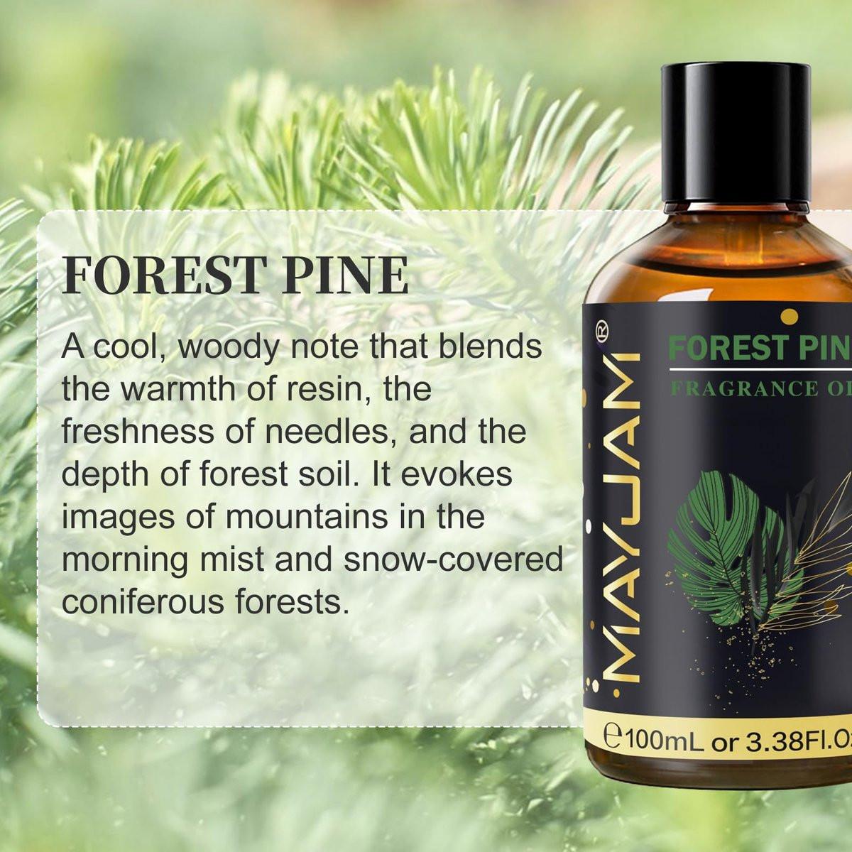 MAYJAM Waldkiefer Duftöl – 100 ml Ätherisches Pinienöl für Diffuser, Seifen- und Kerzenherstellung, langanhaltender Duft