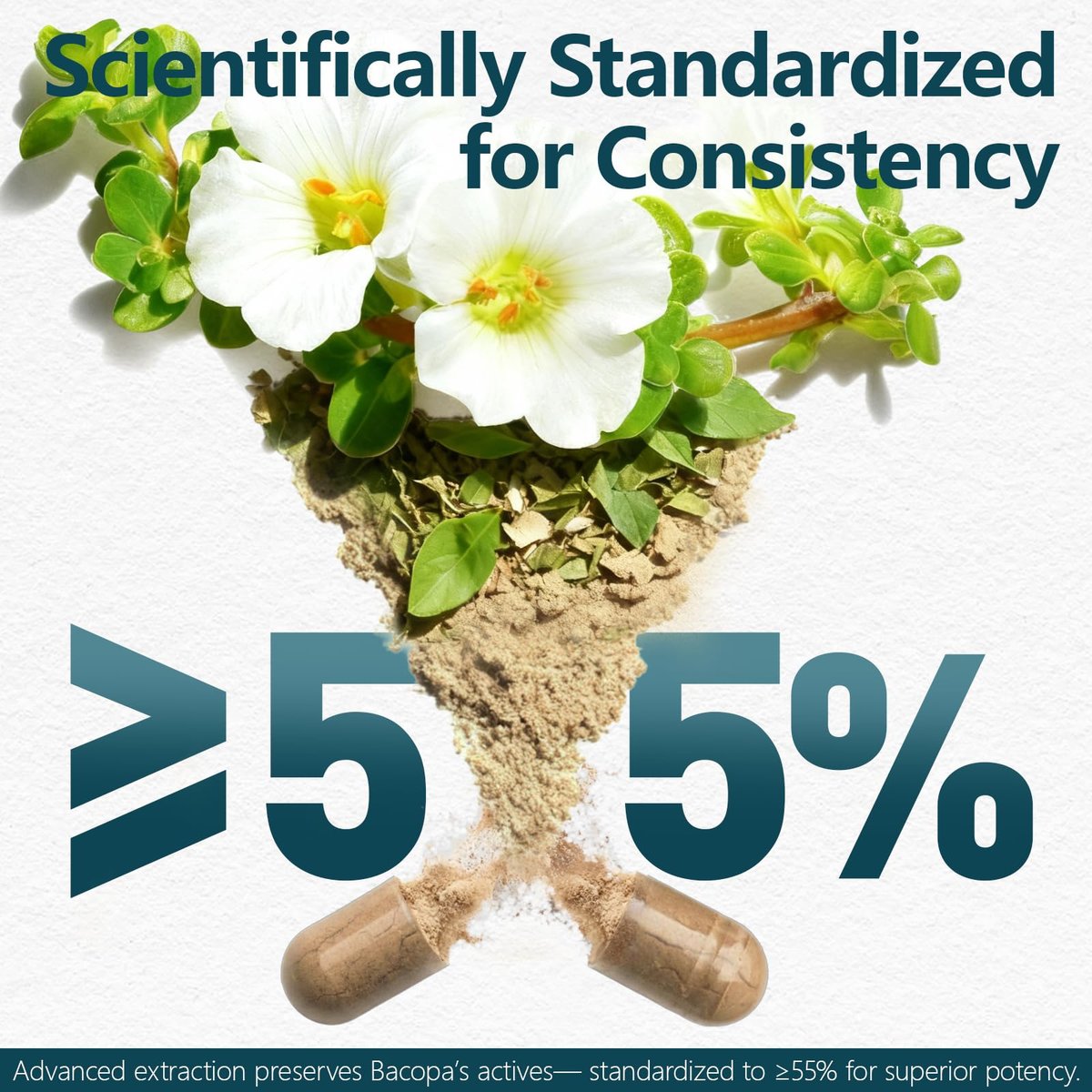 HyberVive Bacopa Monnieri Supplement 300 MG – Organischer Nootropischer Extrakt mit ≥55% Bacosiden für Gedächtnis, Fokus und kognitive Unterstützung – Hergestellt in den USA – 90 Kapseln