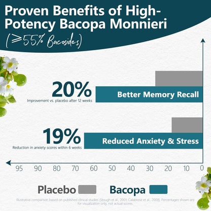 HyberVive Bacopa Monnieri Supplement 300 MG – Organischer Nootropischer Extrakt mit ≥55% Bacosiden für Gedächtnis, Fokus und kognitive Unterstützung – Hergestellt in den USA – 90 Kapseln