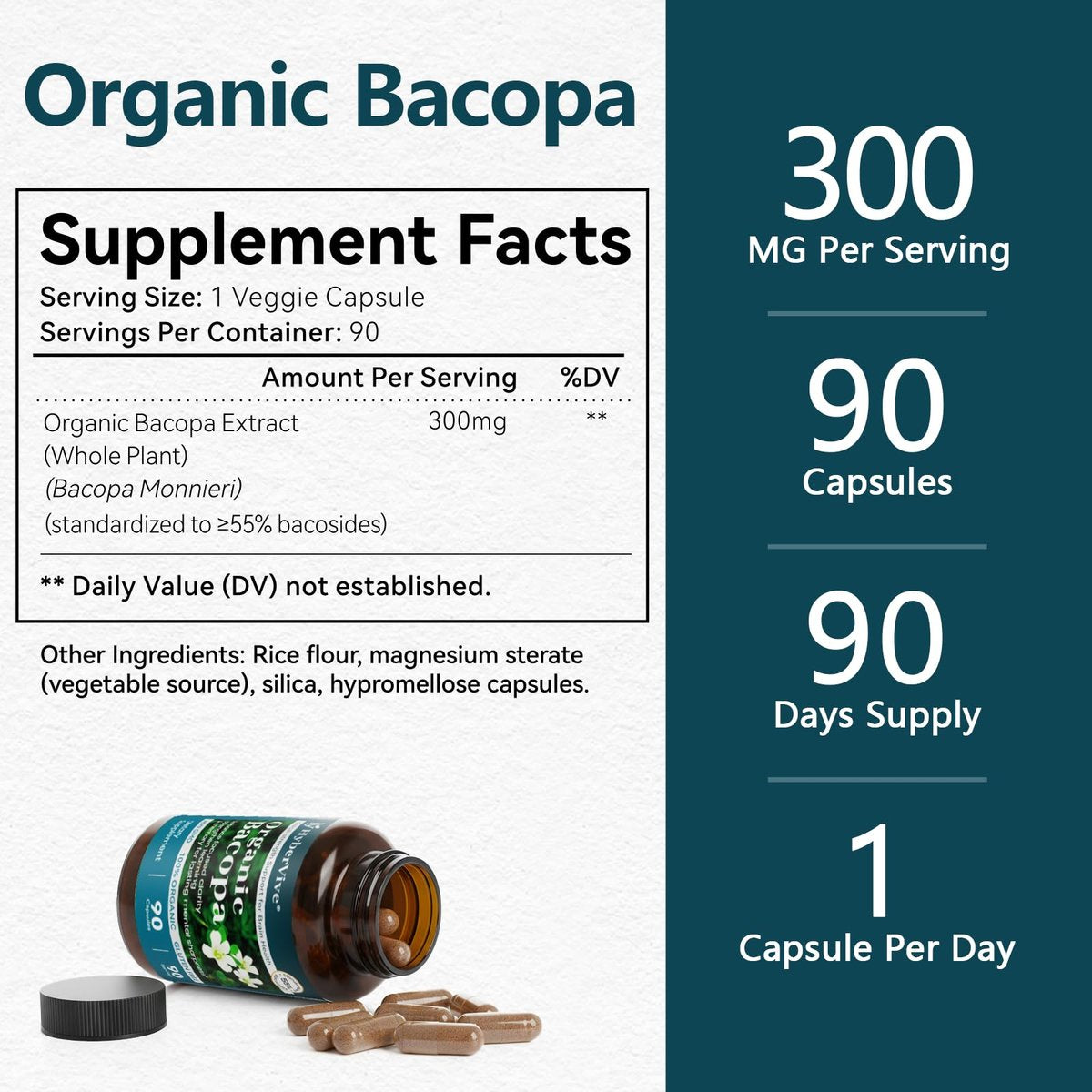 HyberVive Bacopa Monnieri Supplement 300 MG – Organischer Nootropischer Extrakt mit ≥55% Bacosiden für Gedächtnis, Fokus und kognitive Unterstützung – Hergestellt in den USA – 90 Kapseln