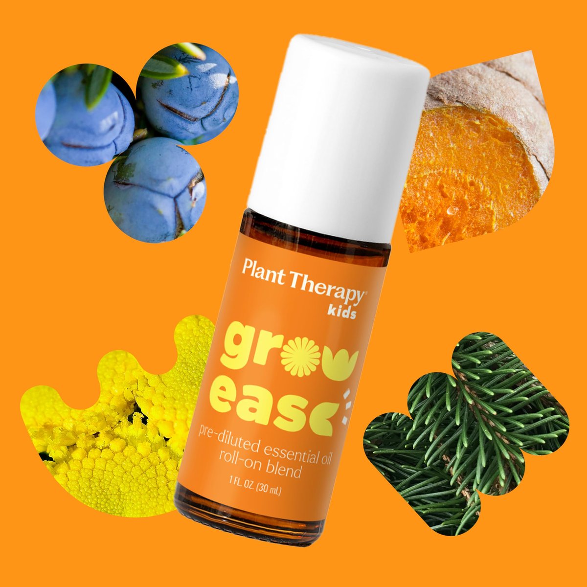 Plant Therapy Kids Grow Ease Roll-On 30 ml – Beruhigende Mischung für Wachstumsschmerzen, Muskelkater & Beinkrämpfe, Kindersicher, Fertig verdünnt