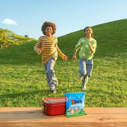 Zbar Oat Bites – Iced Oatmeal Cookie – Bio Energiekugeln für Kinder – 14g Vollkorn – 6 Snack Packs
