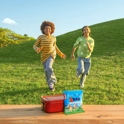 Zbar Oat Bites – Iced Oatmeal Cookie – Bio Energiekugeln für Kinder – 14g Vollkorn – 6 Snack Packs