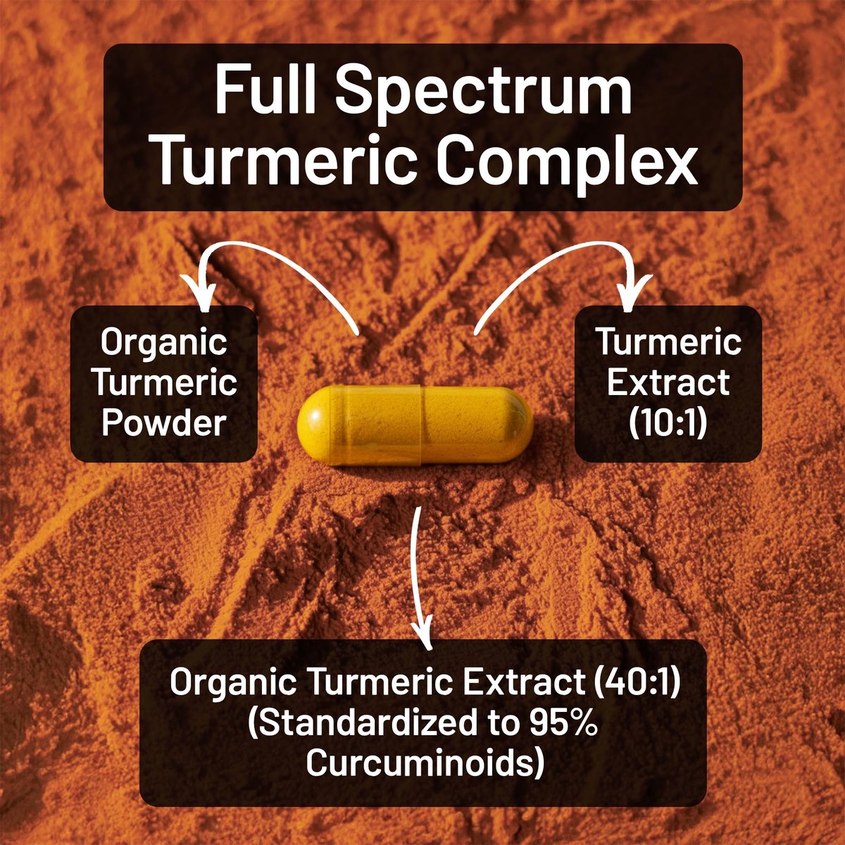 NatureWise Curcumin-Komplex mit BioPerin – 3200 mg, 90 Kapseln (30-Tage-Vorrat) – Starkes Antioxidans, vegan, nicht-GVO, USA-Herstellung