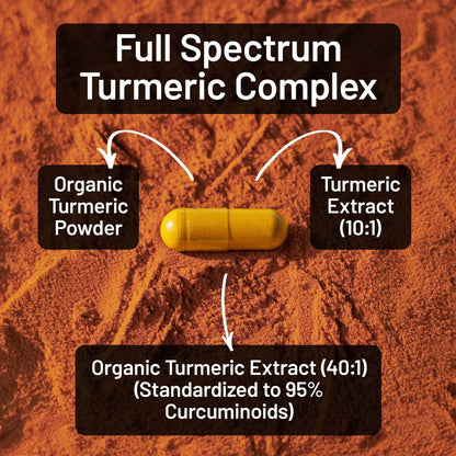 NatureWise Curcumin-Komplex mit BioPerin – 3200 mg, 90 Kapseln (30-Tage-Vorrat) – Starkes Antioxidans, vegan, nicht-GVO, USA-Herstellung