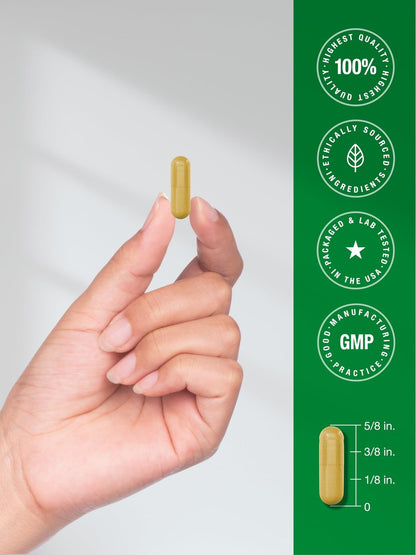 Horbäach Berberin-Komplex Nahrungsergänzungsmittel | 60 vegane Kapseln | mit Ceylon-Zimt & Chrom | natürlich gewonnen | Non-GMO, glutenfreie Formel