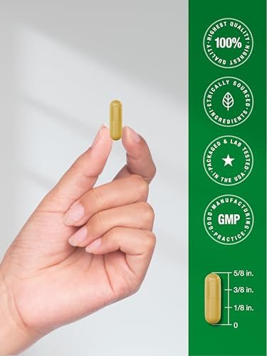 Horbäach Berberin-Komplex Nahrungsergänzungsmittel | 60 vegane Kapseln | mit Ceylon-Zimt & Chrom | natürlich gewonnen | Non-GMO, glutenfreie Formel