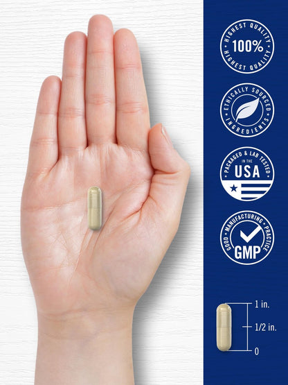 Carlyle Cortisol Supplement | 60 Vegane Kapseln | Ashwagandha & Magnesium Komplex | Ohne Gentechnik, Glutenfrei