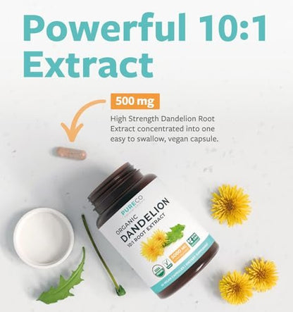 Bio Löwenzahnwurzel Extrakt 10:1 - Hochdosiert, 5000 mg Kräuteräquivalent, Leberreinigung & Entgiftung, vegan & nicht-GVO, 2 Monate Vorrat