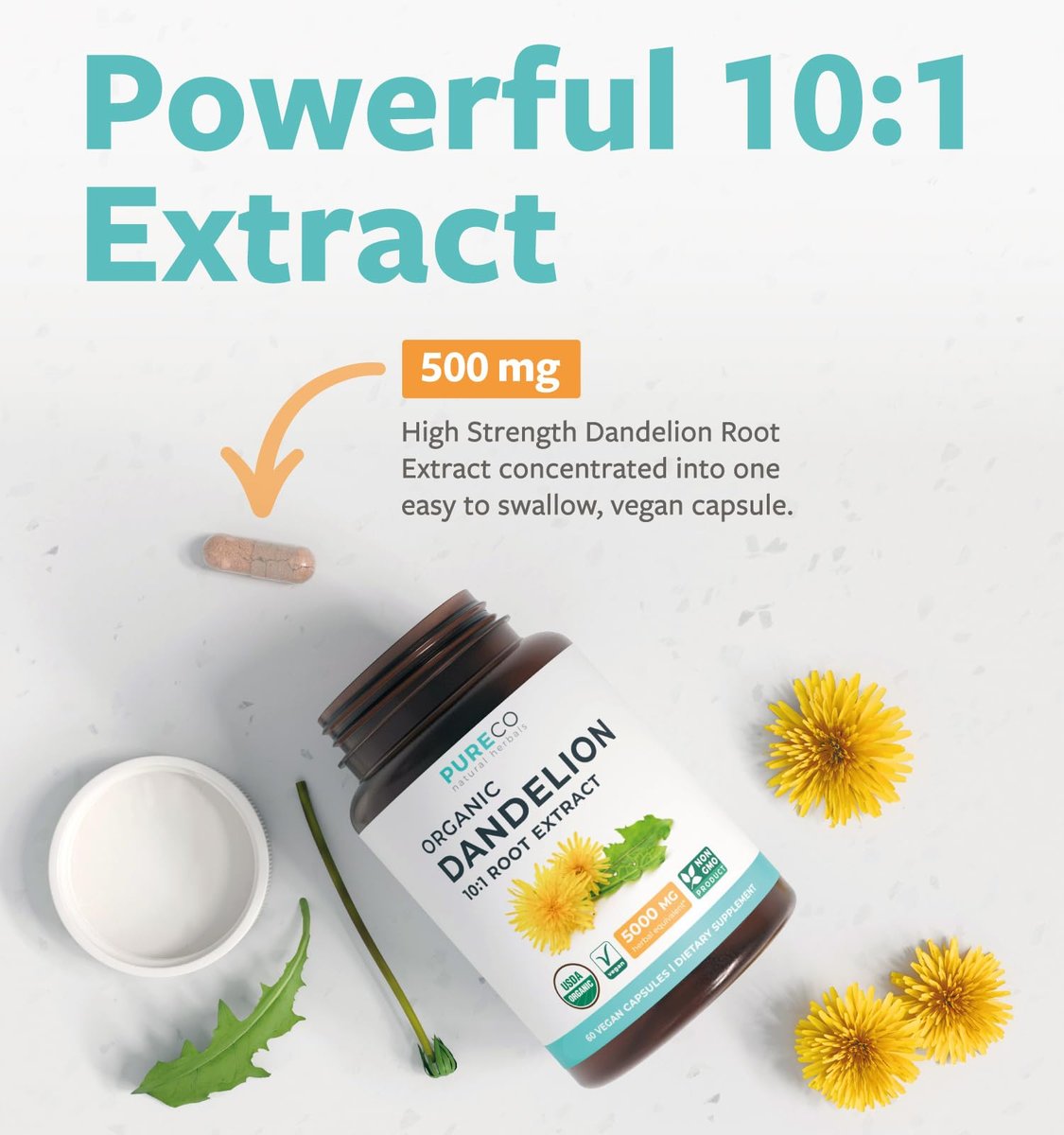 Bio Löwenzahnwurzel Extrakt 10:1 - Hochdosiert, 5000 mg Kräuteräquivalent, Leberreinigung & Entgiftung, vegan & nicht-GVO, 2 Monate Vorrat