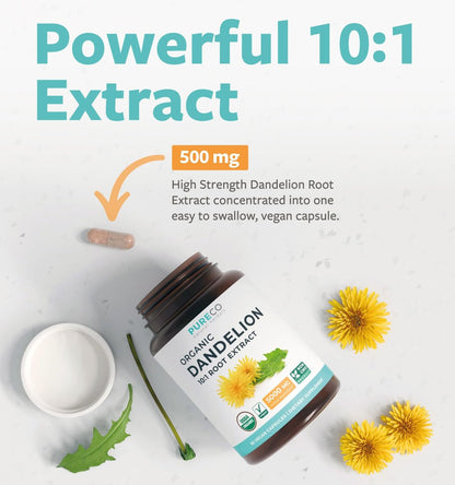 Bio Löwenzahnwurzel Extrakt 10:1 - Hochdosiert, 5000 mg Kräuteräquivalent, Leberreinigung & Entgiftung, vegan & nicht-GVO, 2 Monate Vorrat