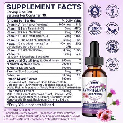 Liposomale Lymphdrainage-Tropfen, 26-in-1 Leberreinigung & Entgiftung mit Mariendistel, Echinacea, Glutathion, Vitaminen – Lymph-Leber-Kur für Darm- und Stoffwechselgesundheit – Erdbeergeschmack, 60 ml
