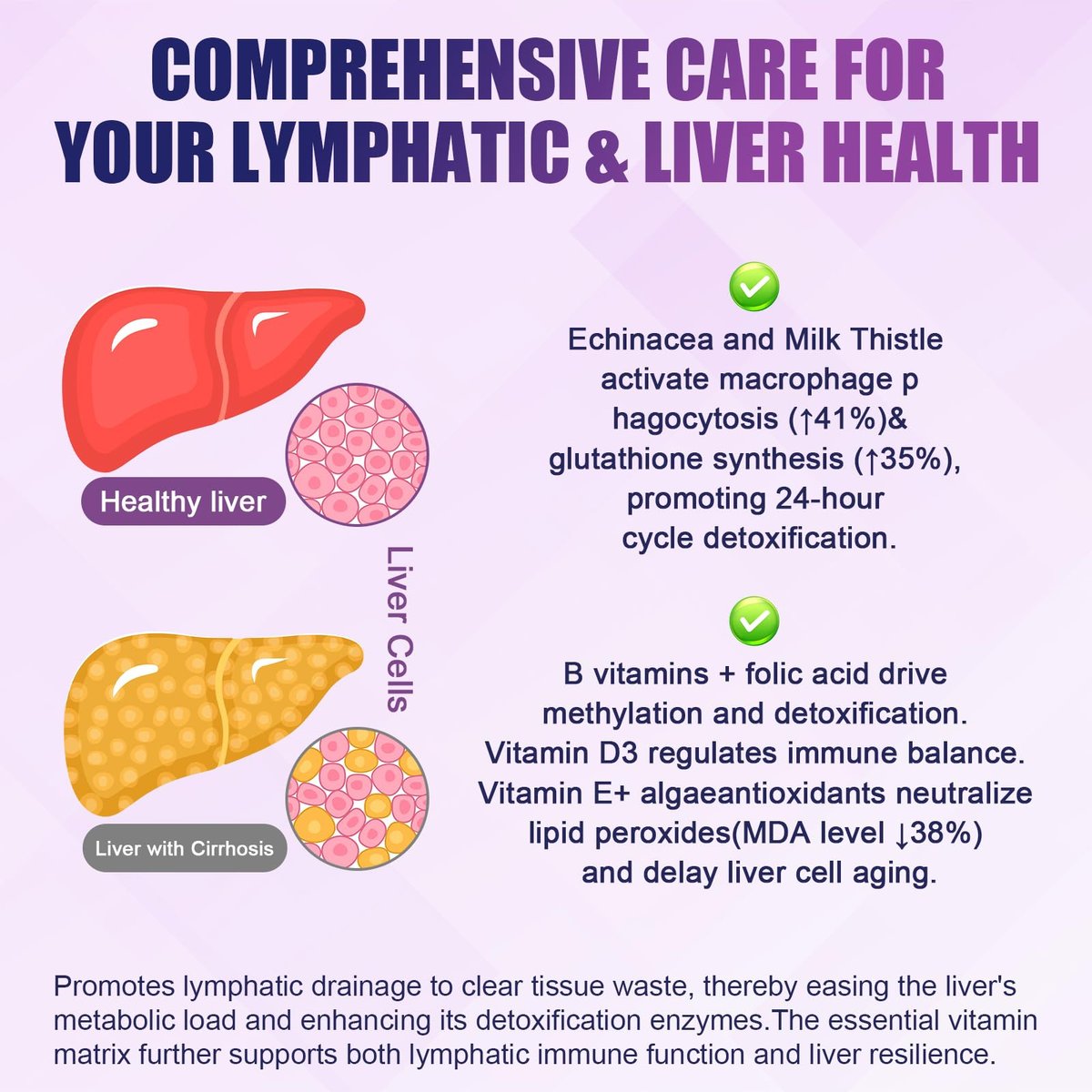 Liposomale Lymphdrainage-Tropfen, 26-in-1 Leberreinigung & Entgiftung mit Mariendistel, Echinacea, Glutathion, Vitaminen – Lymph-Leber-Kur für Darm- und Stoffwechselgesundheit – Erdbeergeschmack, 60 ml