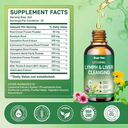 Liposomale Lymphdrainage-Tropfen – Lymphdrainage-Supplement mit Mariendistel, Klettenwurzel für Frauen & Männer | Unterstützt Leberreinigung, Entgiftung & Reparatur | Lymph- & Lebergesundheit | 60 ml