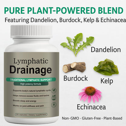 Lymphdrainage Kapseln – Natürliche Kräutermischung mit Löwenzahn, Klette, Kelp & Echinacea – Unterstützt Kreislauf & Flüssigkeitshaushalt