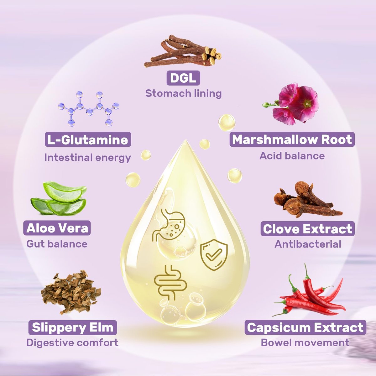 Liposomales DGL Süßholzwurzelextrakt - Deglycyrrhiziniertes Süßholz mit L-Glutamin, Eibisch, Nelke und Ulme - Verdauung, Magenschleimhaut, Ausscheidung, Maximale Aufnahme, 60 Portionen
