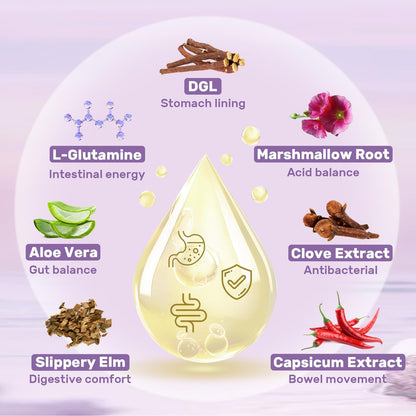Liposomales DGL Süßholzwurzelextrakt - Deglycyrrhiziniertes Süßholz mit L-Glutamin, Eibisch, Nelke und Ulme - Verdauung, Magenschleimhaut, Ausscheidung, Maximale Aufnahme, 60 Portionen
