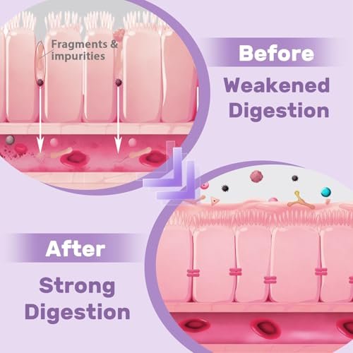 Liposomales DGL Süßholzwurzelextrakt - Deglycyrrhiziniertes Süßholz mit L-Glutamin, Eibisch, Nelke und Ulme - Verdauung, Magenschleimhaut, Ausscheidung, Maximale Aufnahme, 60 Portionen