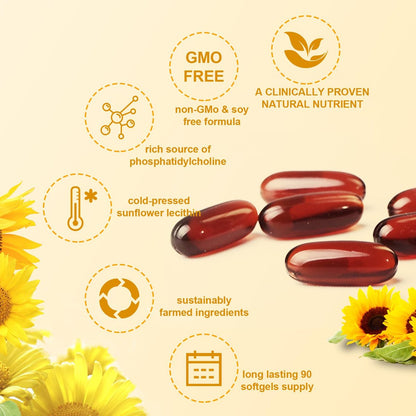 JulyDeer Sonnenblumen-Lecithin 2400 mg, 90 Softgel-Kapseln – Reich an Phosphatidylcholin, Nicht-GVO, Sojafrei, Glutenfrei – Nahrungsergänzungsmittel zur Unterstützung des Nervensystems