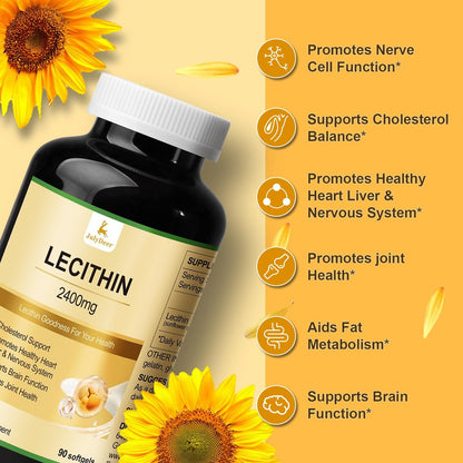 JulyDeer Sonnenblumen-Lecithin 2400 mg, 90 Softgel-Kapseln – Reich an Phosphatidylcholin, Nicht-GVO, Sojafrei, Glutenfrei – Nahrungsergänzungsmittel zur Unterstützung des Nervensystems