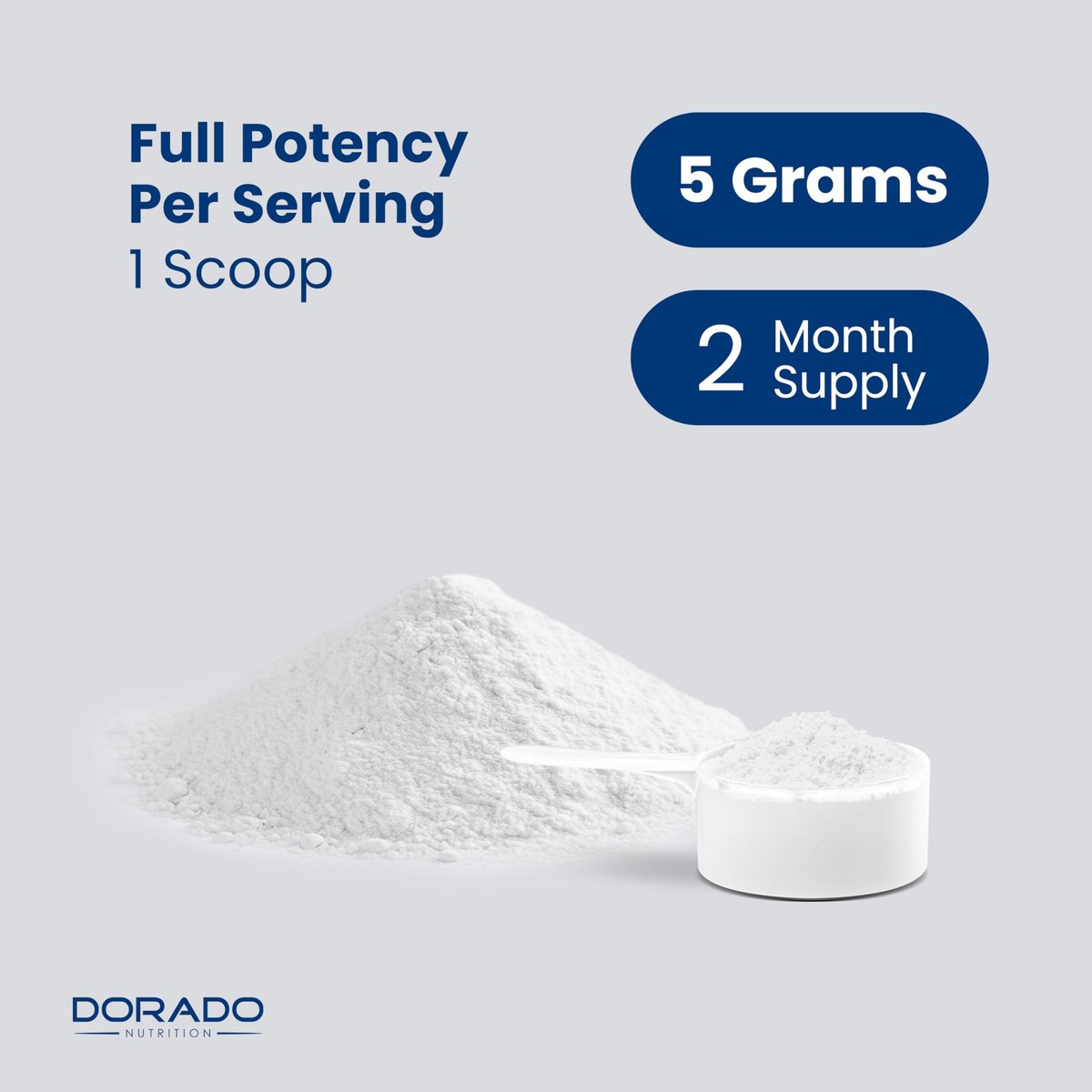 Kreatin-Monohydrat-Pulver 5g | mikronisiert & geschmacksneutral | 60 Portionen 5000mg pro Portion | reines Kreatin-Präparat für Männer & Frauen | unterstützt Muskelwachstum, Energie & Erholung | Non-GMO & vegan