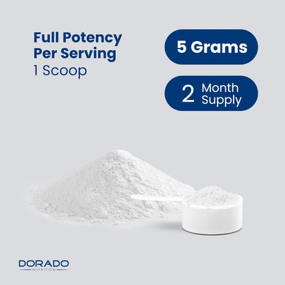 Kreatin-Monohydrat-Pulver 5g | mikronisiert & geschmacksneutral | 60 Portionen 5000mg pro Portion | reines Kreatin-Präparat für Männer & Frauen | unterstützt Muskelwachstum, Energie & Erholung | Non-GMO & vegan