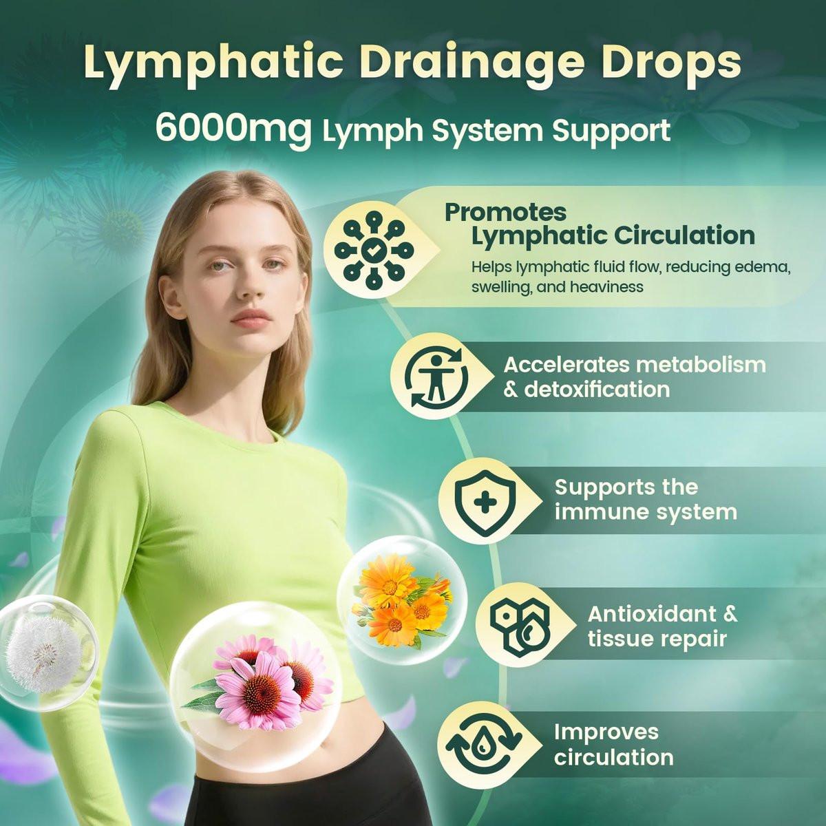21-in-1 Lymphatische Drainage Tropfen für Liposomale Unterstützung, Immun- & Lymphsystem – Vegan, mit Echinacea, Löwenzahn, Klette, Bromelain, Ringelblume, Kurkuma & mehr – 60 ml