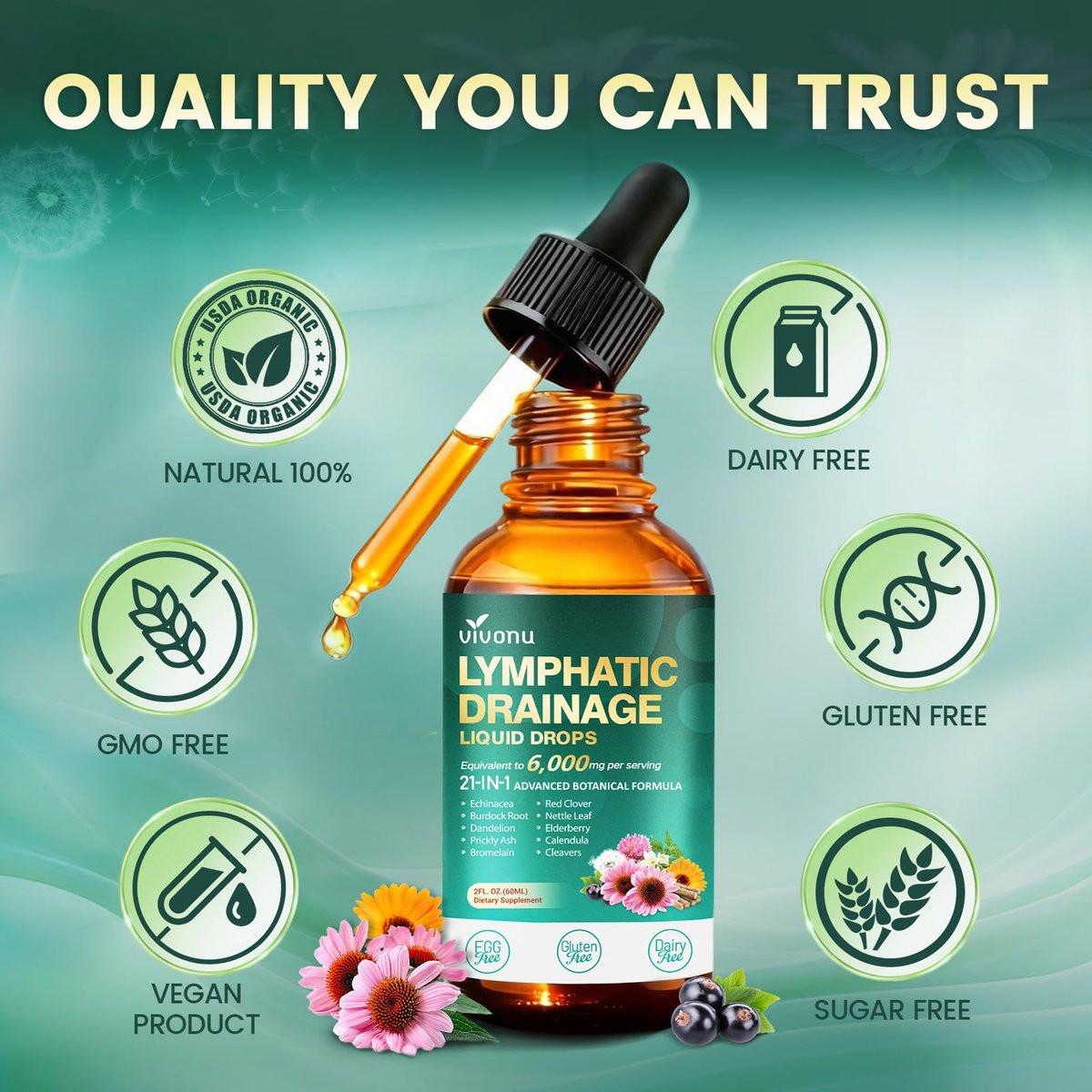 21-in-1 Lymphatische Drainage Tropfen für Liposomale Unterstützung, Immun- & Lymphsystem – Vegan, mit Echinacea, Löwenzahn, Klette, Bromelain, Ringelblume, Kurkuma & mehr – 60 ml