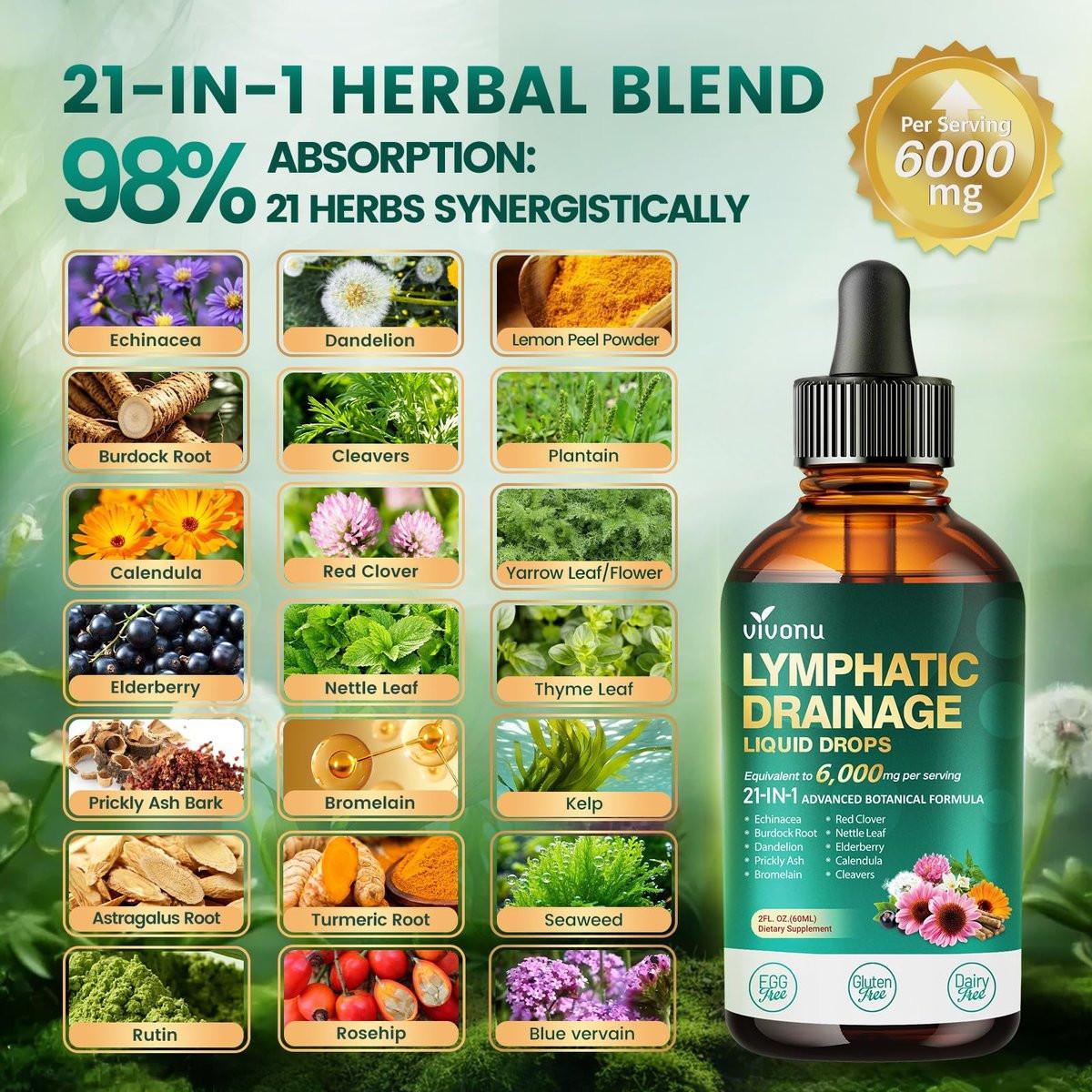 21-in-1 Lymphatische Drainage Tropfen für Liposomale Unterstützung, Immun- & Lymphsystem – Vegan, mit Echinacea, Löwenzahn, Klette, Bromelain, Ringelblume, Kurkuma & mehr – 60 ml