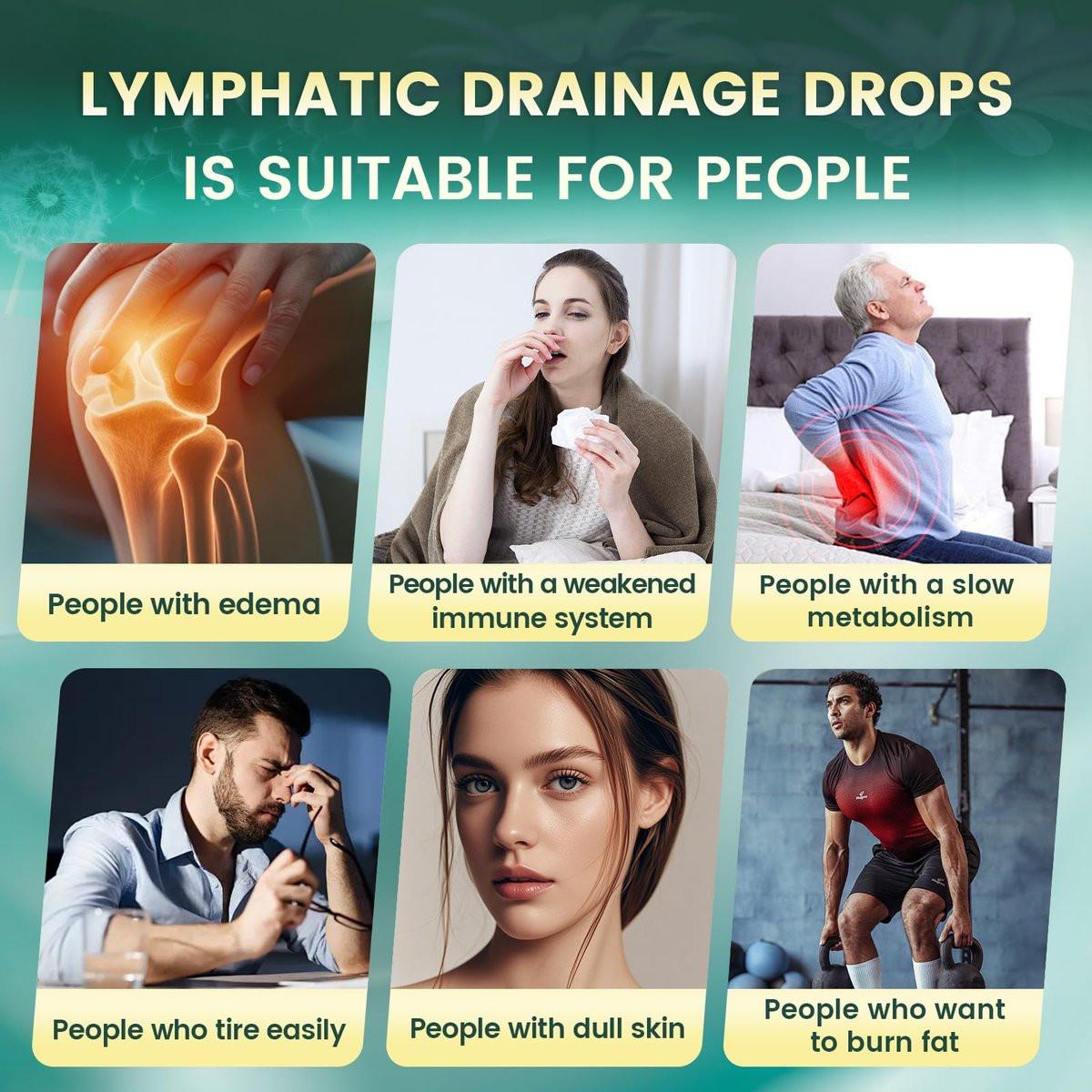 21-in-1 Lymphatische Drainage Tropfen für Liposomale Unterstützung, Immun- & Lymphsystem – Vegan, mit Echinacea, Löwenzahn, Klette, Bromelain, Ringelblume, Kurkuma & mehr – 60 ml