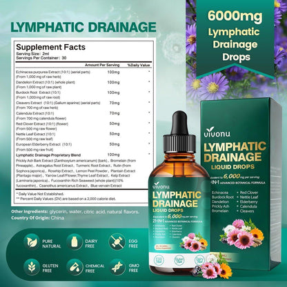 21-in-1 Lymphatische Drainage Tropfen für Liposomale Unterstützung, Immun- & Lymphsystem – Vegan, mit Echinacea, Löwenzahn, Klette, Bromelain, Ringelblume, Kurkuma & mehr – 60 ml