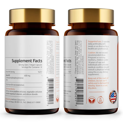 Temimar Alpha GPC 600mg – Bioverfügbare Cholin-Ergänzung für Gedächtnis, Fokus und kognitive Funktion – Glutenfrei, Nicht-GVO, Hergestellt in den USA – 60 vegane Kapseln