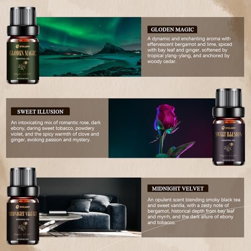 Hotel Collection Diffuser Öl Set – 6x10 ml Duftöl inspiriert von beliebten 5-Sterne-Hotel Düften (My Way, Dream State, Coastal Cabine)