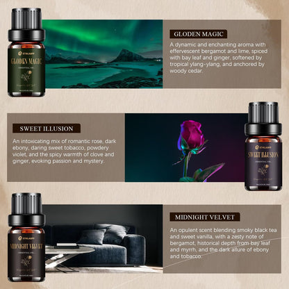 Hotel Collection Diffuser Öl Set – 6x10 ml Duftöl inspiriert von beliebten 5-Sterne-Hotel Düften (My Way, Dream State, Coastal Cabine)
