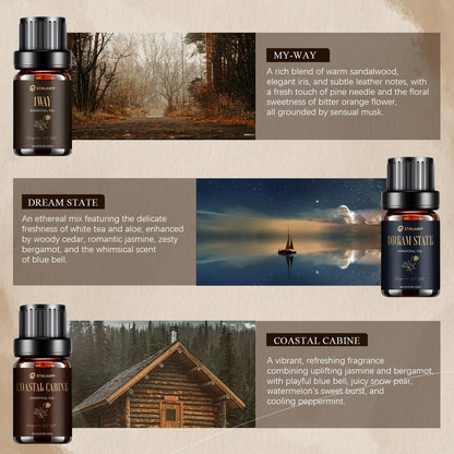 Hotel Collection Diffuser Öl Set – 6x10 ml Duftöl inspiriert von beliebten 5-Sterne-Hotel Düften (My Way, Dream State, Coastal Cabine)