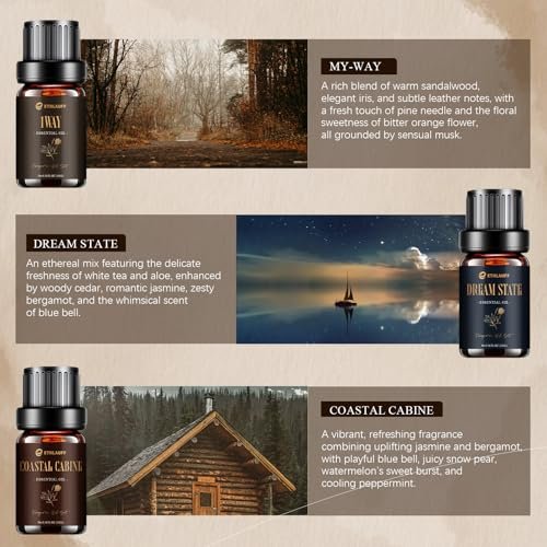 Hotel Collection Diffuser Öl Set – 6x10 ml Duftöl inspiriert von beliebten 5-Sterne-Hotel Düften (My Way, Dream State, Coastal Cabine)