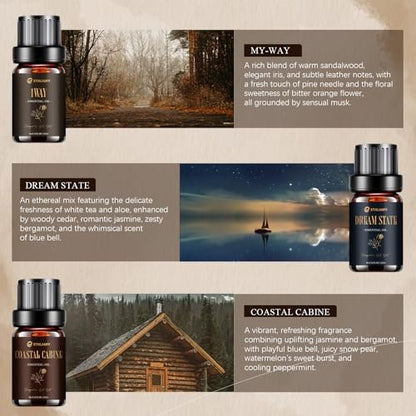 Hotel Collection Diffuser Öl Set – 6x10 ml Duftöl inspiriert von beliebten 5-Sterne-Hotel Düften (My Way, Dream State, Coastal Cabine)
