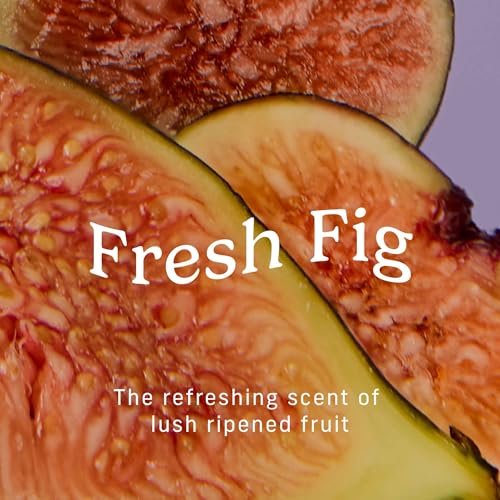 Niches & Nooks pH-ausgeglichene Aloe Vera Feminine Feuchttücher für Frauen mit empfindlicher Haut – Frische Feige – Geruchsneutralisierend – Tägliche intime spülbare Feuchttücher – Sauber + Vegan – 45 Stück