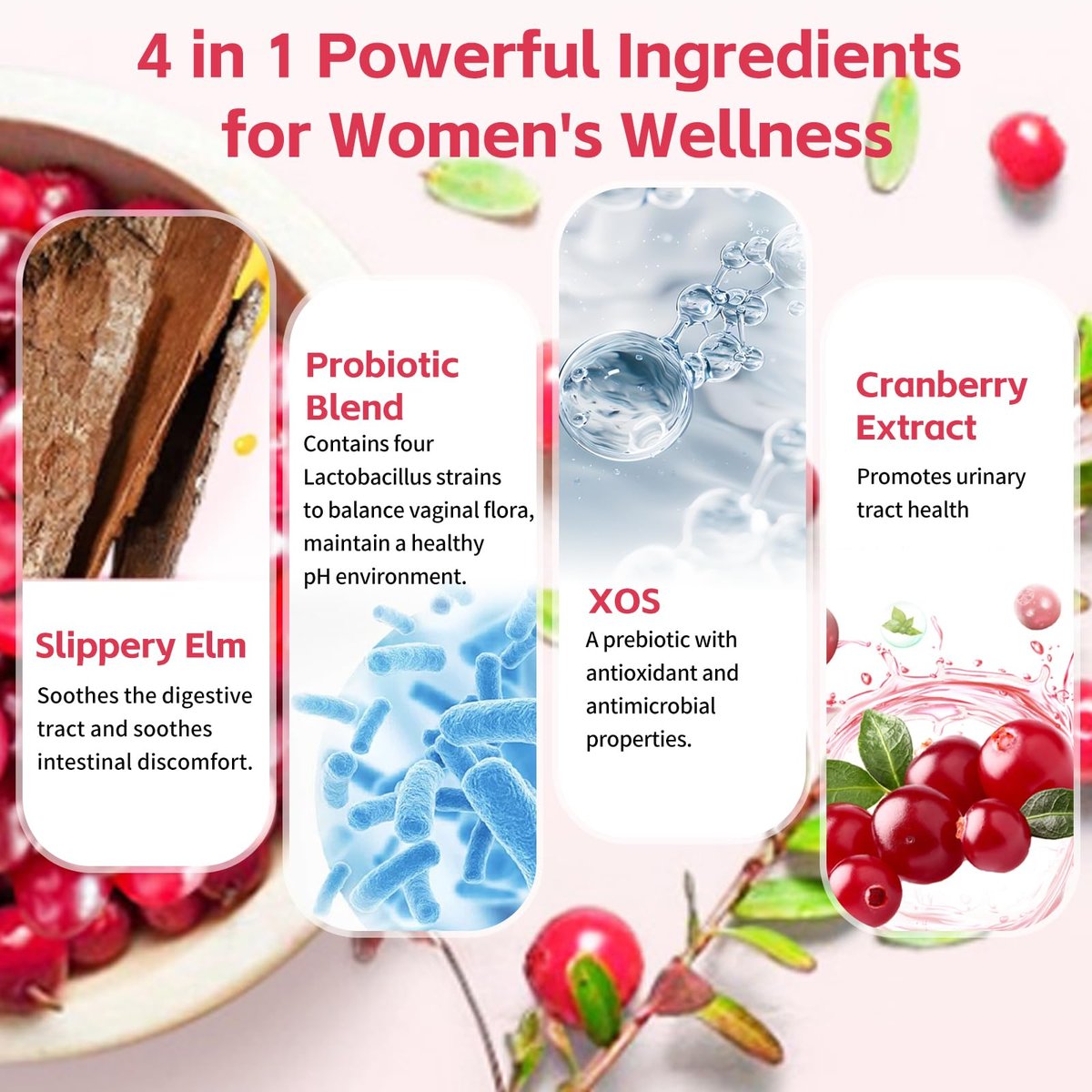 Wordln Probiotische Gummis für Frauen – Unterstützt pH-Gleichgewicht, Vaginalgesundheit, Geruchskontrolle & Hefegleichgewicht, Zuckerfreier Cranberry-Geschmack, 60 Stück (1er-Pack)