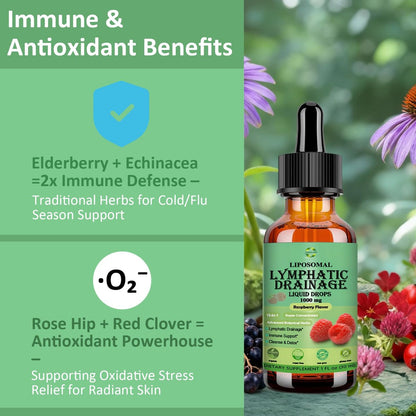 Lymphatische Drainage Tropfen, 18-in-1 Kräuter-Lymphsystem-Unterstützung mit Echinacea, Holunder, Löwenzahn, Klettenwurzel, Kraut für Lymphreinigung, Entgiftung, Immununterstützung, Liposomal für maximale Absorption