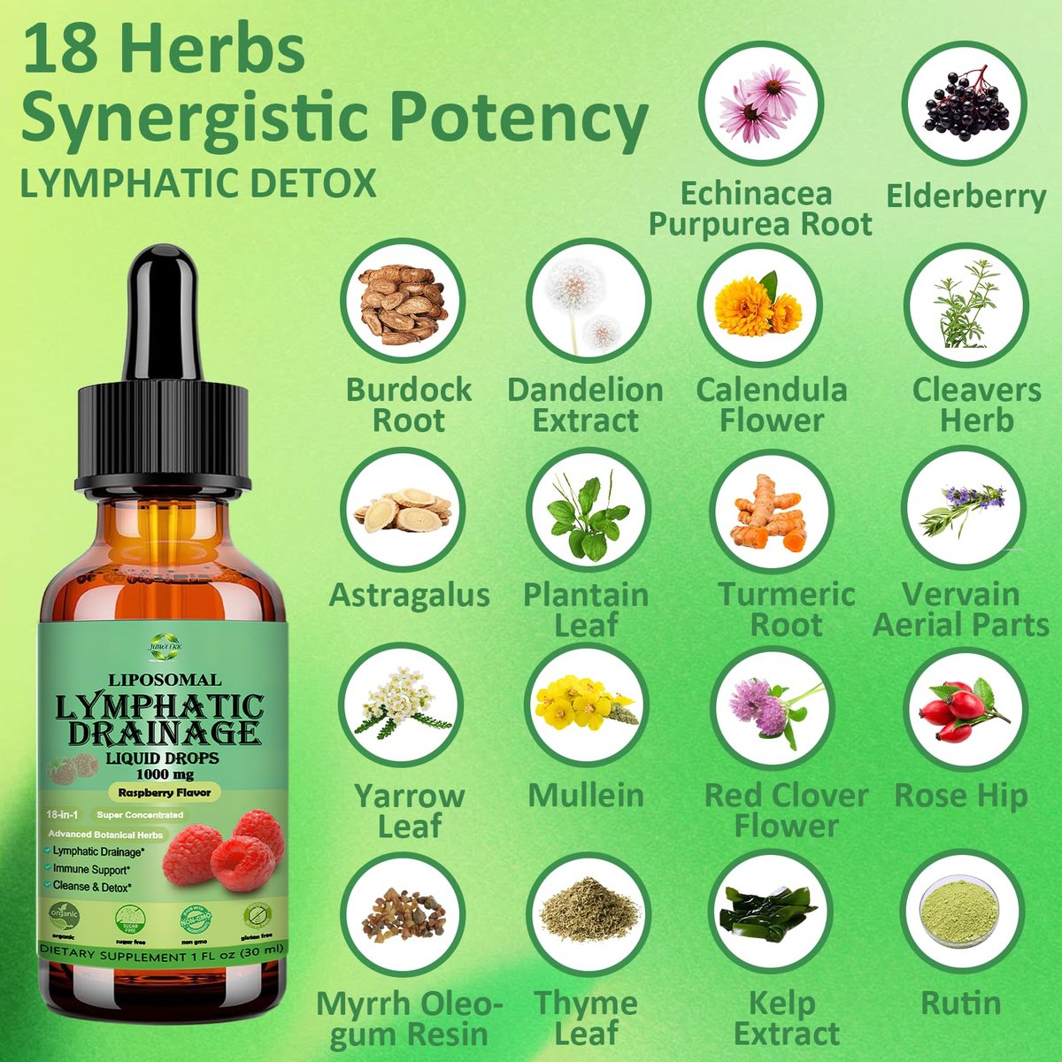 Lymphatische Drainage Tropfen, 18-in-1 Kräuter-Lymphsystem-Unterstützung mit Echinacea, Holunder, Löwenzahn, Klettenwurzel, Kraut für Lymphreinigung, Entgiftung, Immununterstützung, Liposomal für maximale Absorption