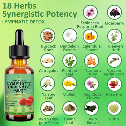 Lymphatische Drainage Tropfen, 18-in-1 Kräuter-Lymphsystem-Unterstützung mit Echinacea, Holunder, Löwenzahn, Klettenwurzel, Kraut für Lymphreinigung, Entgiftung, Immununterstützung, Liposomal für maximale Absorption