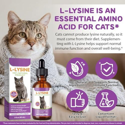 L-Lysin für Katzen – Immun- & Atemwegsunterstützung mit natürlichen Inhaltsstoffen, Hühnchengeschmack, Nahrungsergänzungsmittel für Haut, Fell & Augengesundheit, 60 ml