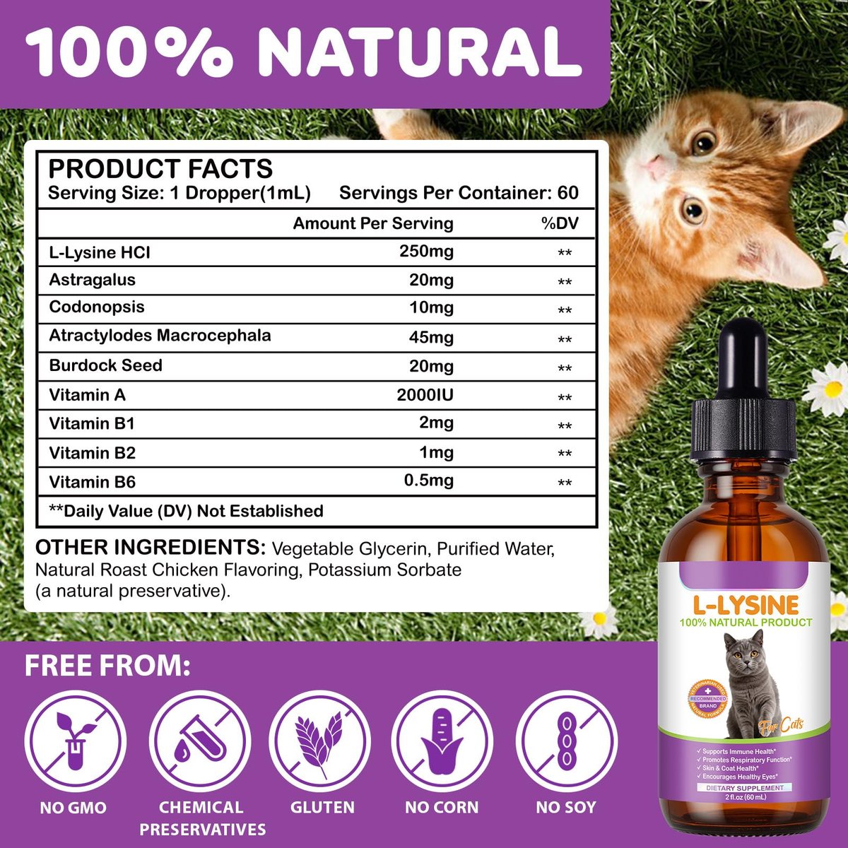 L-Lysin für Katzen – Immun- & Atemwegsunterstützung mit natürlichen Inhaltsstoffen, Hühnchengeschmack, Nahrungsergänzungsmittel für Haut, Fell & Augengesundheit, 60 ml