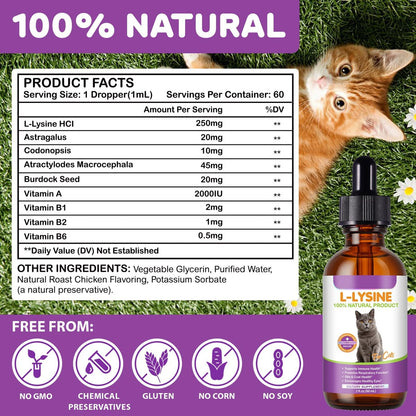 L-Lysin für Katzen – Immun- & Atemwegsunterstützung mit natürlichen Inhaltsstoffen, Hühnchengeschmack, Nahrungsergänzungsmittel für Haut, Fell & Augengesundheit, 60 ml