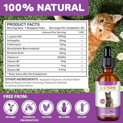 L-Lysin für Katzen – Immun- & Atemwegsunterstützung mit natürlichen Inhaltsstoffen, Hühnchengeschmack, Nahrungsergänzungsmittel für Haut, Fell & Augengesundheit, 60 ml