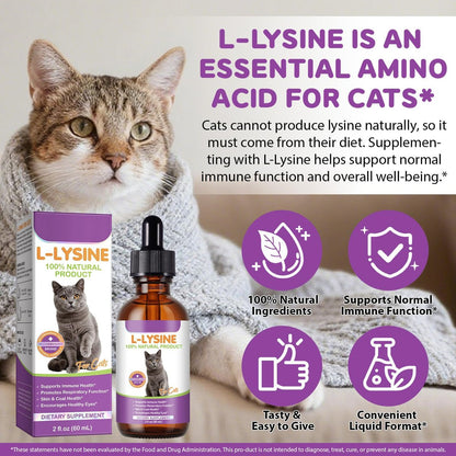 L-Lysin für Katzen – Immun- & Atemwegsunterstützung mit natürlichen Inhaltsstoffen, Hühnchengeschmack, Nahrungsergänzungsmittel für Haut, Fell & Augengesundheit, 60 ml