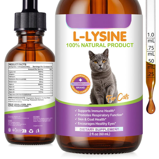 L-Lysin für Katzen – Immun- & Atemwegsunterstützung mit natürlichen Inhaltsstoffen, Hühnchengeschmack, Nahrungsergänzungsmittel für Haut, Fell & Augengesundheit, 60 ml