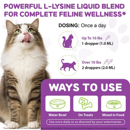 L-Lysin für Katzen – Immun- & Atemwegsunterstützung mit natürlichen Inhaltsstoffen, Hühnchengeschmack, Nahrungsergänzungsmittel für Haut, Fell & Augengesundheit, 60 ml